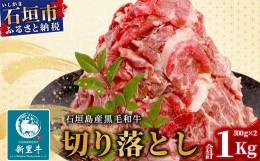 【ふるさと納税】石垣島産 黒毛和牛 新里牛 切り落とし 合計１kg(500g×2)  【 牛肉 肉 切り落とし 炒め物 煮物 薄切り肉 牛丼 石垣 石垣