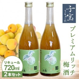 【ふるさと納税】SA1942　酒田の酒屋厳選　子宝リキュール プレミアムリッチ梅酒　720ml×2本