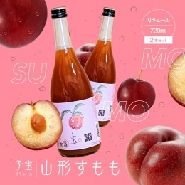 【ふるさと納税】SA1946　酒田の酒屋厳選　子宝リキュール 山形すもも　720ml×2本