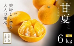 【ふるさと納税】甘夏6kg（大小混合）《秀品》和歌山県より農園直送！まごころ産直みかん【北海道・沖縄県・一部離島 配送不可】サンフル