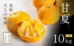 【ふるさと納税】甘夏１0kg（大小混合）《秀品》和歌山県より農園直送！まごころ産直みかん【北海道・沖縄県・一部離島 配送不可】サンフ