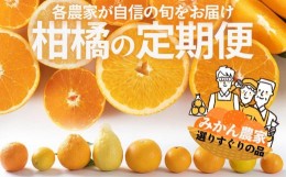 【ふるさと納税】【定期便/全10回】厳選・柑橘の定期便 和歌山県下津町から農園直送！まごころ産直みかん【北海道・沖縄県・一部離島 配