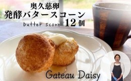 【ふるさと納税】奥久慈卵と発酵バターのスコーン 12個セット【母の日 スコーン バター 卵 人気 焼き菓子 おいしい サクサク しっとり ク