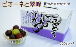 【ふるさと納税】【数量限定】ピオーネと翠峰の夏のおまかせセット約200g×4パック ※2024年9月上旬〜9月中旬頃順次発送 / 果物 くだもの