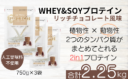 【ふるさと納税】ALPRON BASIC WHEY&SOY リッチチョコレート風味 3個セット（750g×3個）【チョコレート アルプロン プロテインセット 計