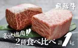 【ふるさと納税】【6月発送】飛騨牛 ブロック肉 [塊]  1kg (霜降り肉 赤身肉 500g×2 )  食べ比べ 訳あり 部位お任せ 不揃い ローストビ