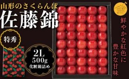 【ふるさと納税】《先行予約》贈答用 2024年 山形県産 さくらんぼ 佐藤錦 特秀2L 化粧詰 500g F2Y-5630