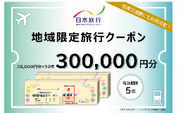 【ふるさと納税】日本旅行地域限定旅行クーポン 300,000円分