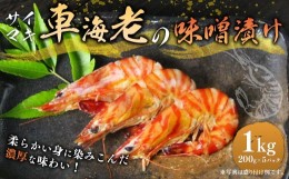 【ふるさと納税】車海老 海老 味噌漬け 計1kg  （200g×5パック） 小分け 冷凍 車エビ 車えび サイマキ海老 才巻き海老 サイマキ エビ え