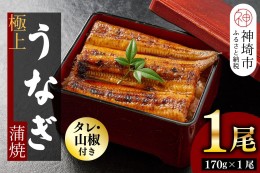 【ふるさと納税】【職人手焼き】国産特大うなぎ蒲焼1尾（約170g前後）(H097112)