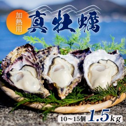 【ふるさと納税】牡蠣 殻付き 1.5kg 前後 10個 〜 15個 マガキ 加熱用 真牡蠣 詰合せ 海鮮 魚介 加熱 調理用