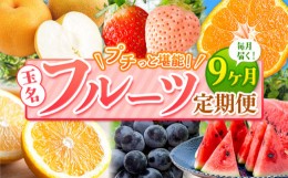 【ふるさと納税】【 定期便 9回 】 プチっと 堪能 ！ 人気 フルーツ | 赤いちご 白いちご みかん 不知火 デコポン スイカ ぶどう 梨 太秋