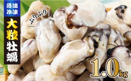 【ふるさと納税】急速凍結！冬の味覚国産牡蠣1kg(500ｇ×2袋) 3P25