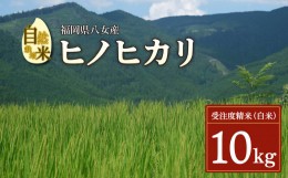 【ふるさと納税】【2024年11月発送開始】＜令和6年度新米＞自然栽培米ヒノヒカリ１０kg                            