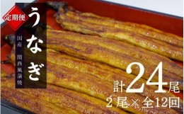 【ふるさと納税】【12カ月定期便】国産うなぎ蒲焼（２本）タレ付き×12回 /  定期便 毎月お届け 和歌山 田辺市 国産 国産うなぎ 国産鰻 