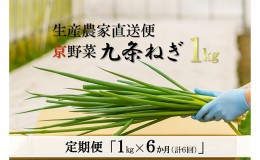 【ふるさと納税】【6か月定期便】生産農家直送 京野菜・九条ねぎ1kg〈定期便 ねぎ ネギ 葱 九条ねぎ 京野菜 京都 新鮮 甘い 農家直送 野