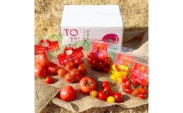 【ふるさと納税】トマト 井出トマト農園 トマトのきらめき5種セット 1.9kg