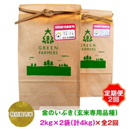 【ふるさと納税】[定期便 2ヵ月連続お届け] 令和5年産 特別栽培米 金のいぶき(玄米専用品種) 2kg×2袋 (計4kg)｜宮城県 大郷町産 ごはん 