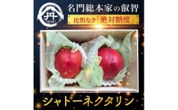 【ふるさと納税】＜周りに差をつける贈り物＞最高糖度25度の比類なき絶対糖度シャトーネクタリン2024年7月下旬発送【1468767】