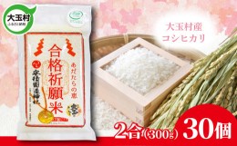 【ふるさと納税】【令和5年産】 合格祈願米 コシヒカリ 真空米 2合 ( 300g )× 30個 受験 御利益 【21017】 合格 ご祈祷 願掛け 