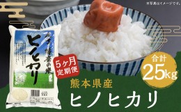 【ふるさと納税】【定期便5回】人吉球磨産  ヒノヒカリ 5kg 合計25kg