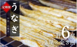 【ふるさと納税】【3カ月定期便】国産うなぎ白焼（2本）×3回 特製醤油・わさび付 /  定期便 毎月お届け 和歌山 田辺市 国産 国産うなぎ 