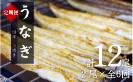 【ふるさと納税】【6カ月定期便】国産うなぎ白焼（2本）×6回 特製醤油・わさび付 /  定期便 毎月お届け 和歌山 田辺市 国産 国産うなぎ 