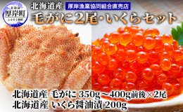 【ふるさと納税】厚岸漁協イチオシ！【3D冷凍】北海道産 毛がに（約350g〜400g）2尾・いくら200gセット