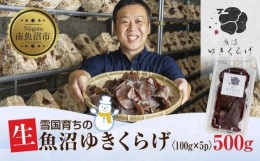 【ふるさと納税】国産 生 きくらげ 100g×5パック 計500g 小分け 栄養豊富 無農薬 無添加 オーガニック 自家栽培 雪国 魚沼ゆきくらげ キ