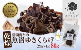 【ふるさと納税】国産 乾燥 きくらげ 20g×4パック 計80g 小分け 栄養豊富 無農薬 無添加 オーガニック 自家栽培 雪国 魚沼ゆきくらげ キ