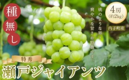 【ふるさと納税】＜先行予約＞瀬戸ジャイアンツ（特秀）約2kg1箱（4房）【ブドウ マスカット 葡萄 先行予約 マスカット マスカット 美味