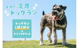 【ふるさと納税】【海を一望できるドッグラン 利用チケット】ドッグラン 1頭1回+ドリンクチケット