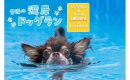 【ふるさと納税】【海を一望できるドッグラン 利用チケット】ドッグラン＋プール利用 1頭 1回+ドリンクチケット