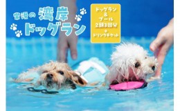 【ふるさと納税】【海を一望できるドッグラン 利用チケット】ドッグラン＋プール利用 2頭 3回+ドリンクチケット