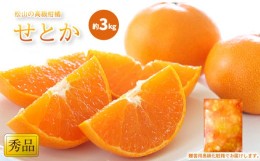 【ふるさと納税】【2月中旬から発送】 せとか ＜ 秀品 ＞ 約3kg 贈答用高級化粧箱入り | みかん せとか 柑橘 みかん 3kg 化粧箱入り 贈答