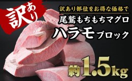 【ふるさと納税】【訳あり】尾鷲もちもちキハダマグロ　ハラモ詰め合わせ　大満足1.5kg｜ブロック 冷凍 天然マグロ 　CH-96