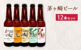 【ふるさと納税】茅ヶ崎ビール アソート 12本セット　【お酒　ビール　クラフトビール　瓶入り　段ボール入り】