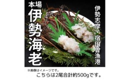 【ふるさと納税】（冷凍） 伊勢志摩産 活〆伊勢海老 2尾 姿造り 生食用 （M） ／ 丸池 伊勢えび イセエビ 特産 三重県 南伊勢町 伊勢志摩