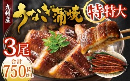 【ふるさと納税】九州産 うなぎ蒲焼 特特大3尾 (1尾あたり250〜266g) 合計750g以上