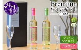 【ふるさと納税】Premiumワインギフト（白）500ml×2本『シャインマスカットワイン＋デラウェアワイン』〜2023〜（HO）B16-776