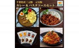 【ふるさと納税】＜ギフト＞元気豚　カレー&パスタソースセット【1464847】