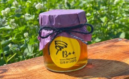 【ふるさと納税】熊本県産 日本みつばちの蜂蜜 約250g