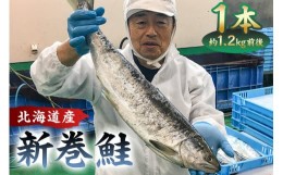 【ふるさと納税】新巻鮭1本（1.2kg前後・北海道産） mi0012-0142