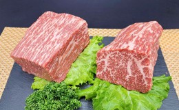 【ふるさと納税】熊本県産 A5等級 黒毛和牛 和王 赤身ブロック 約500g×2パック 計約1kg