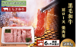 【ふるさと納税】【黒毛和牛の定期便】肩ロース 約500g 黒毛和牛 焼肉 栃木県 ブランド 牛 とちぎ和牛 高級 高価 牛肉 定期便 スライス T