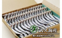 【ふるさと納税】ウルメ丸干し 14〜15尾 5〜6竿 鰯 いわし おつまみ 珍味 魚 海鮮 グルメ ギフト 酒 ビール 日本酒 焼酎 贈り物 国産 愛