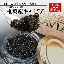 【ふるさと納税】【桐箱入り】HEIKE CAVIAR 60ｇ 【宮崎県 椎葉村】 チョウザメ キャビア 【世界三大珍味×日本三大秘境】