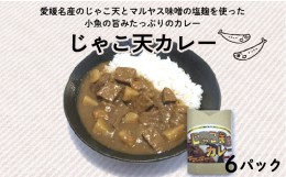 【ふるさと納税】じゃこ天カレー 6パック (1パック 200g) マルヤス味噌 愛媛県 愛南町