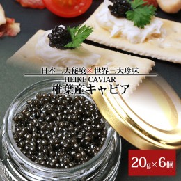 【ふるさと納税】HEIKE CAVIAR 20ｇ×６個【合計120g】【宮崎県 椎葉村】 チョウザメ キャビア【世界三大珍味×日本三大秘境】