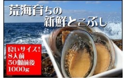 【ふるさと納税】活き〆とこぶし 1kg 冷凍 国産 とこぶし トコブシ ながれこ ナガレコ 新鮮 高知県 東洋町 四国 お取り寄せ 送料無料 S24